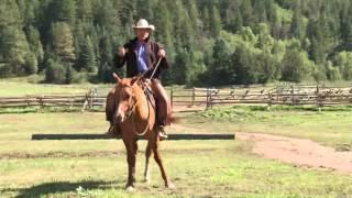 Pat Parelli: Be Assertive, Not Aggressive in Horse Training