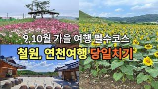 (가을여행) 반드시 가봐야하는  9,10월 당일치기 여행/철원,연천여행필수코스/맛집/카페