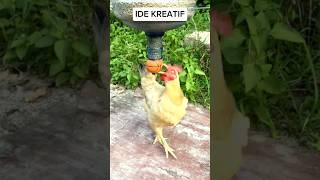 Ide Kreatif Tempat Pakan Ayam #shortvideo #ayam #keşfet