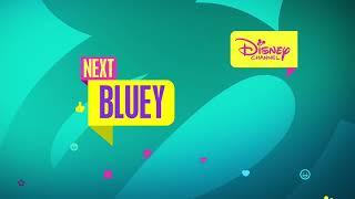 Disney Channel Canada HD | 5 Next Bumpers | June 2024