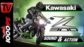 2015 | Kawasaki Z300 | Soundcheck, Action & Wheelies