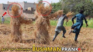 The Art of Fainting: Shocking BUSHMAN PRANK New Very Joke Video