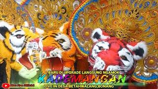 KEREN‼️WAJAH BARU BARONGAN KADEMANGAN LIVE Desa BETAHWALANG,BONANG