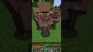 Отличный способ создать свою деревню жителей. #minecraft #minecraftmemes #minecraftshorts