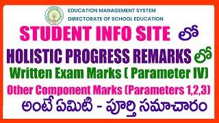 WHAT IS WRITTEN EXAM MARKS PARAMETER 4, OTHER COMPONENT PARAMETER 1,2,3 IN HOLISTIC PROGRESS REMARKS