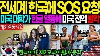 [해외감동사연]전세계 한국에 SOS 요청, 미국 대학가 한글 열풍에 미국 전역 발칵! 한국어가 제 2모국어 될까 충격인 이유 #해외감동사연 #감동 #해외반응