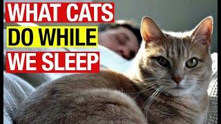 WEIRDEST Behaviors of YOUR CAT When YOU Sleep