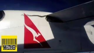 Snake on a plane: Python rides wing of Qantas flight - Truthloader