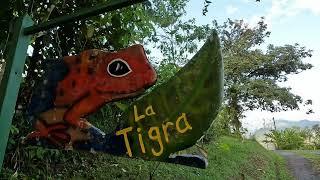 La Tigra Rainforest Lodge, Costa Rica