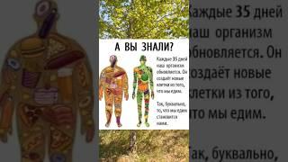 А вы знали?#еда#питание#здоровьесемьи#калининск