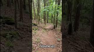 Terrifying Noises on the Appalachian Trail