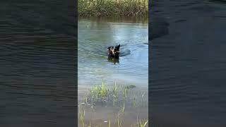 Our Princess is swimming  She is eleven years