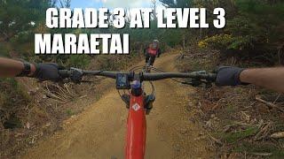 Grade 3 at level 3. New trails at Maraetai.