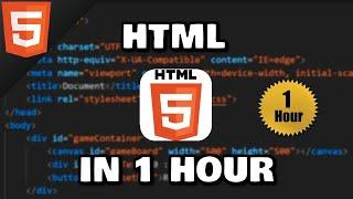 Learn HTML in 1 hour 