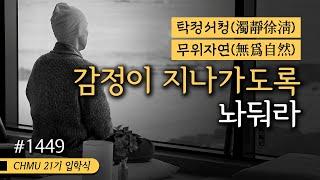 1449일 수행ㅣ감정에 휘둘리지 마세요! 진짜 자유를 찾는 법 "삶이 무거운가요? 단순함이 답입니다" ️탁정서청 ️무위자연 ️감정이 지나가도록 놔둬라 [21기 입학식]