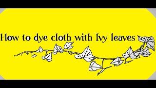 How to dye cloth with ivy leaves