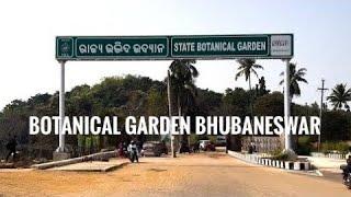 ରାଜ୍ୟ ଉଦ୍ଭିଦ ଉଦ୍ୟାନ // State botanical garden bhubaneswar