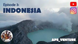 ApeVenture: Episode 3 - Indonesia