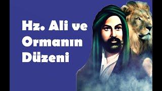 Hz  Ali ve Ormanın Düzeni