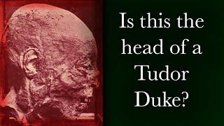 Is this the HEAD OF A TUDOR DUKE?