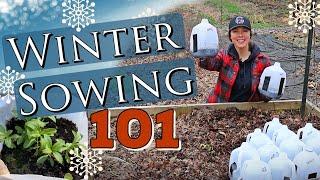 How to Winter Sow Seed