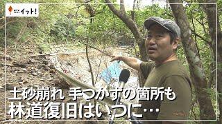 土砂崩れ　手つかずの箇所も　林道復旧はいつに…（沖縄テレビ）2024/11/19