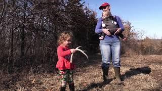 Shed Hunting