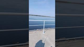 рекорд Хабаровска? #хабаровск #рыбалка #судак