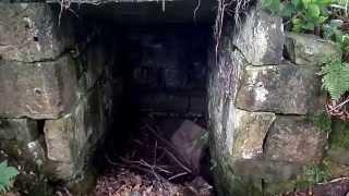 The Lady's Well, Kilmaurs, Ayrshire - History Insights