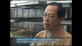 장석열흑삼구증구포 TV방송(2009년 봄 내고향신토불이)