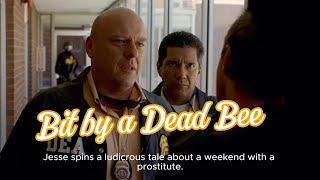 Breaking Bad S2E3: Bit by a Dead Bee