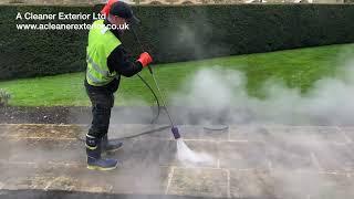 Steam Pressure Washing Mastery: Restoring a Stone Path with the Incredible Falch Pointspeed 5