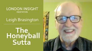 Leigh Brasington – The Honeyball Sutta