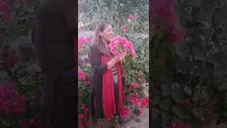 दो दिन की जिंदगी - जिंदगी कैसे जियें - Monica Gupta - #Shorts