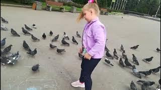 How to catch a Pigeon | Ukrainian Baby girl with  pigeons viral video | The Sachin