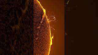 Solar flares are explosions on the Sun which emit radiation into space ️ #Science #Shorts #Space