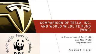 A Comparison of For-Profit and Non-Profit Organizations (Tesla and World Wildlife Fund)