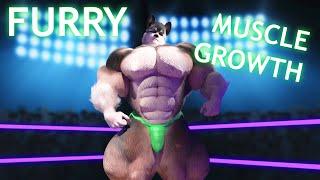 In The Ring - Muscle Furry Growth Animation