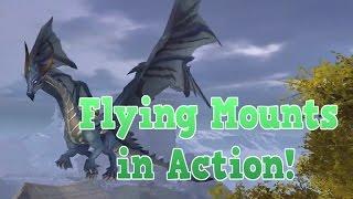 Order & Chaos 2: Redemption- Flying Mounts in Action & Balls!