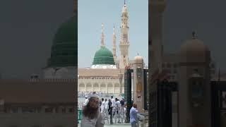 Madina ️️️️️️️️️