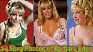 14 Sexy Photos of Barbara Eden