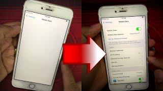 How to Fix Mobile Data Blank on iPhone | iPhone Mobile Data Not Working