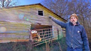 Cleaning Abandoned Old Barn Trash