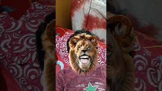 Funny lion laugh #funny #trending #shorts #laugh #viralshorts