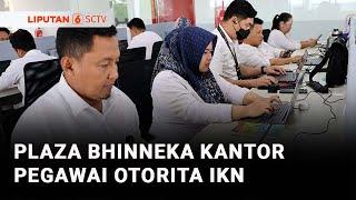 Pegawai Otorita IKN Dijemput Mobil Listrik ke Kantor | Liputan 6