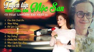 Mộc San - CD Tuyển Tập Nhạc Trịnh Công Sơn Hay Nhất 01 - Nhạc Trịnh Lossless