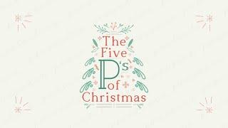 The 5 Ps of Christmas- Provision - Pastor Tyler Roland, Sermon Only