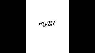 Grizzly Mystery Boxes Fall 2021