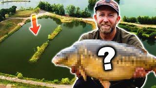 UNCAUGHT CARP  | Carp Fishing Tips & Tactics| Mark Pitchers