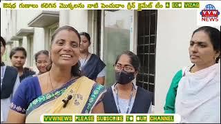 Green Climate Team & Eco Vizag Let's grow plants with medicinal properties